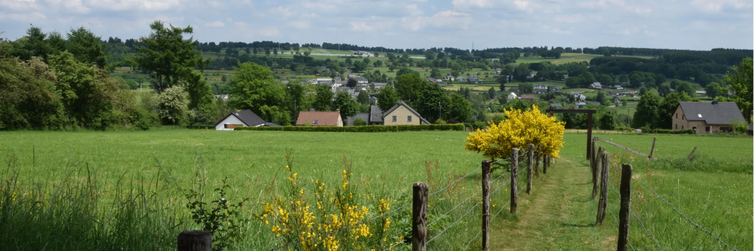 Chemin bordé de poteaux en bois et de fils de fer traversant une prairie verte. De chaque côté du chemin, des buissons jaunes en fleurs. À l'arrière-plan, plusieurs maisons dispersées dans un paysage vallonné avec des arbres et des champs sous un ciel bleu.