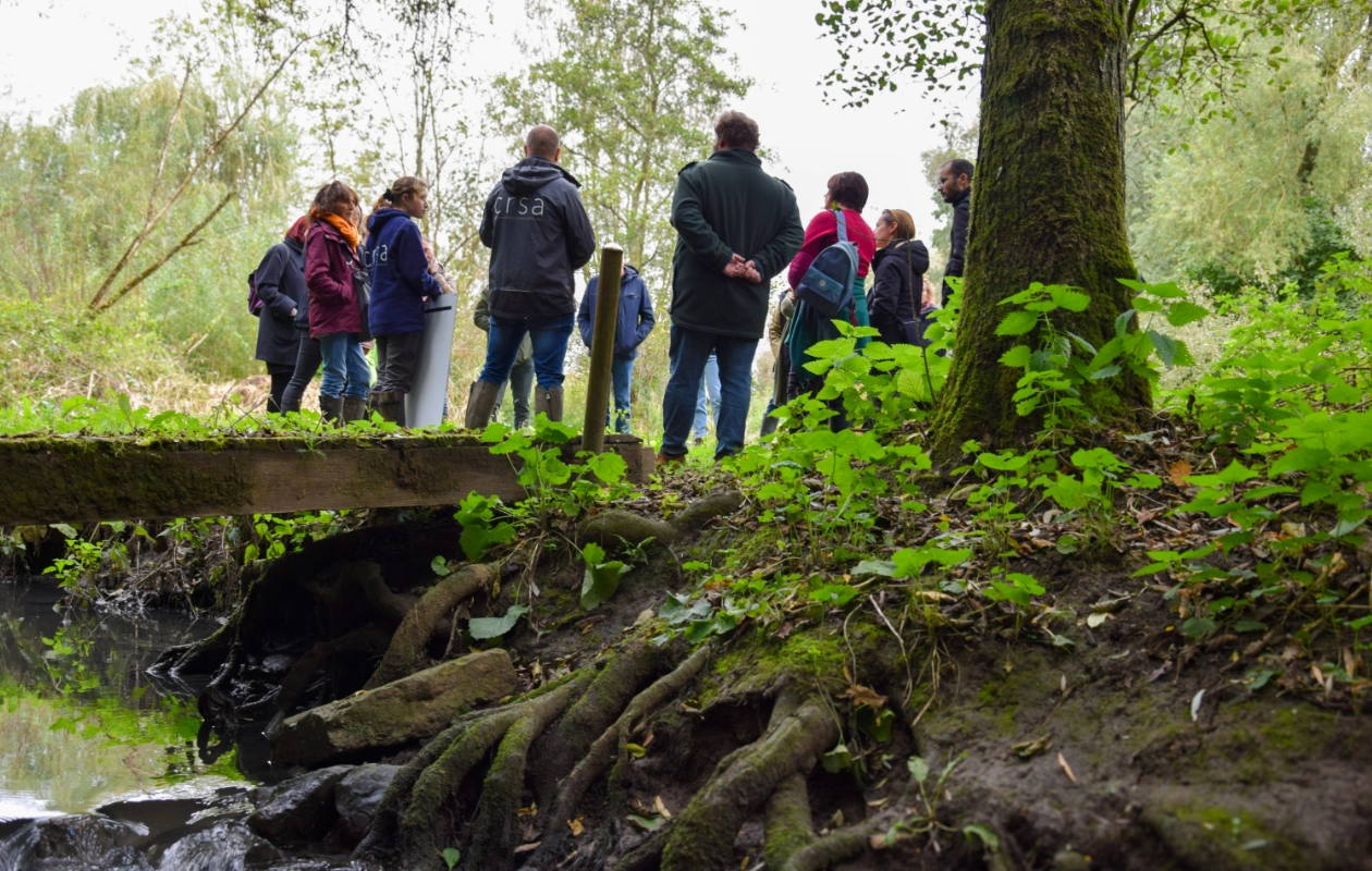 L'image montre un groupe de personnes debout en extérieur dans la réserve de l'Escaille, lors d'un atelier pendant les visites de terrain de la journée des Rencontres du Réseau BiodiverCité. Le groupe écoute deux experts du CRSA, dont le logo est visible sur la veste. Ils sont rassemblés près d'un petit ruisseau, entouré de végétation et d'un pont en bois.