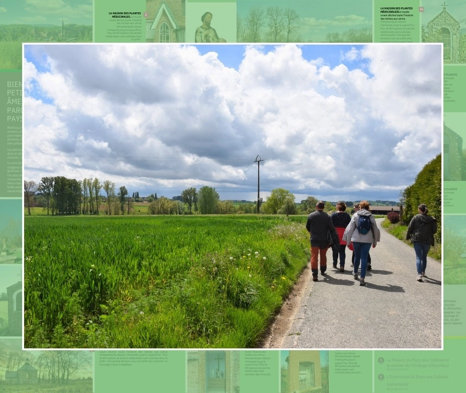 Groupe de personnes marchant sur un chemin pavé entouré de champs verts. Le ciel est partiellement nuageux et des arbres sont visibles en arrière-plan.