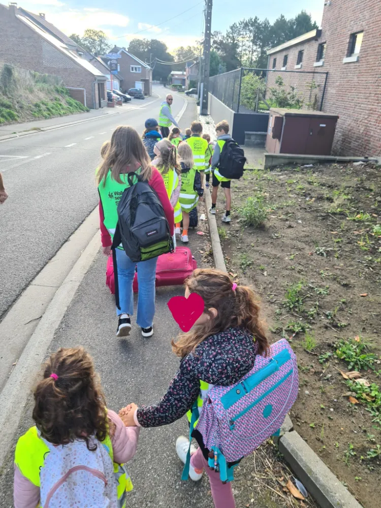 Un groupe d'enfants marche sur un trottoir, probablement en route vers ou depuis l'école. Les enfants portent des sacs à dos et certains se tiennent par la main. Ils sont accompagnés par un adulte qui les guide. Les enfants et l'adulte portent des gilets haute visibilité pour leur sécurité. La scène se déroule dans une zone résidentielle avec des maisons et de la verdure visibles en arrière-plan.