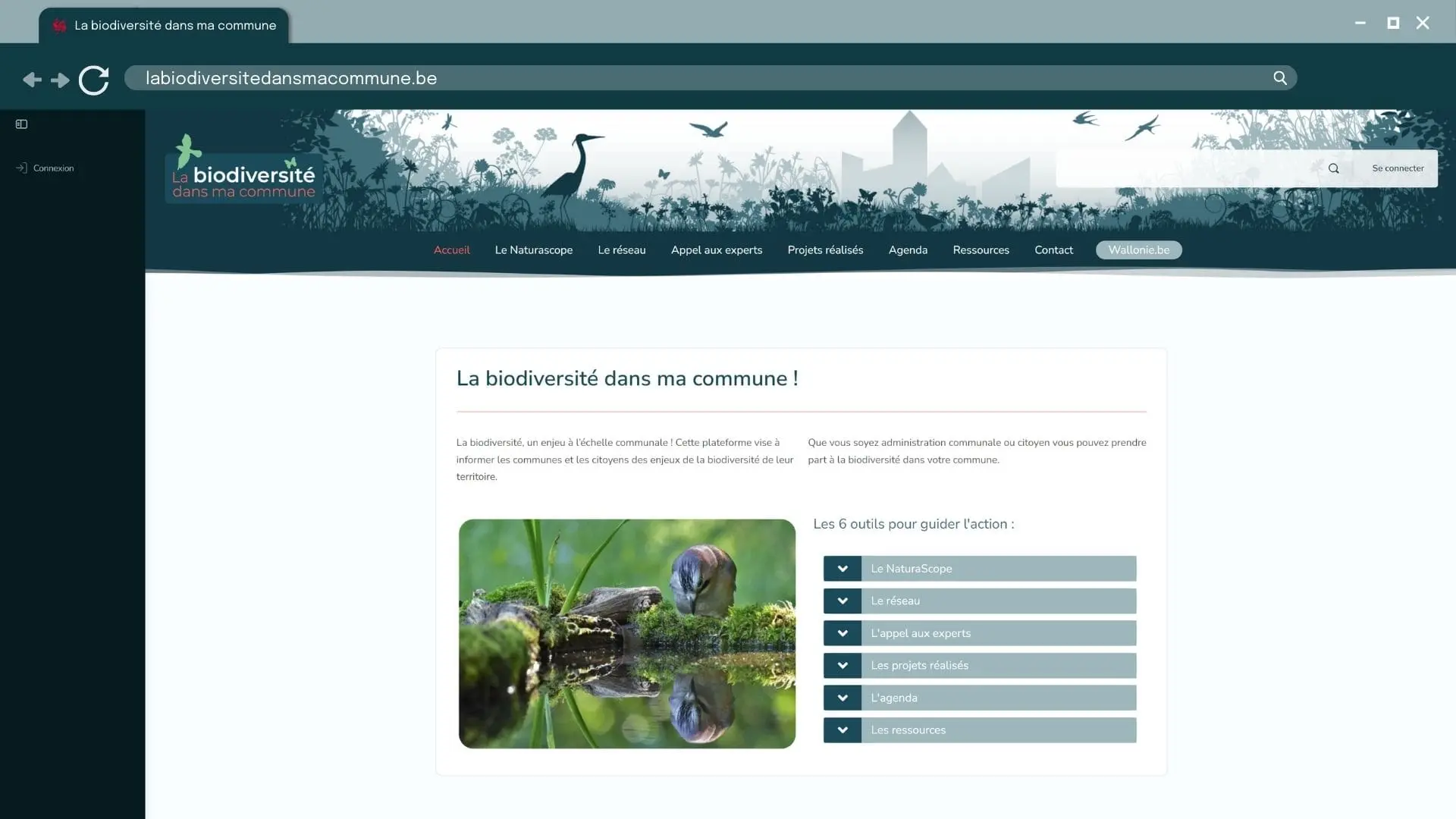 Aperçu de la page d'accueil du site labiodiversitedansmacommune.be