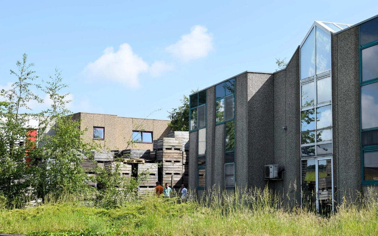 Bâtiment moderne avec de grandes fenêtres et une façade en béton, entouré de verdure. Des piles de palettes en bois sont visibles sur le côté gauche du bâtiment. Le ciel est dégagé avec quelques nuages.