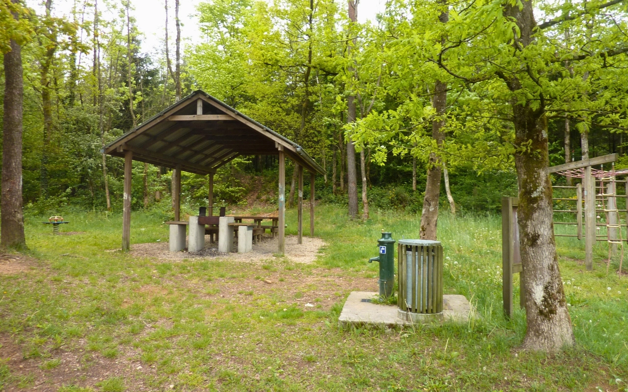 L'image montre une aire de pique-nique en plein air dans un cadre forestier. Il y a un abri en bois avec un toit incliné, sous lequel se trouvent plusieurs tables de pique-nique en béton et des bancs. À droite de l'abri, il y a une poubelle verte sur une dalle de béton. En arrière-plan, on voit des arbres et des équipements de jeu, notamment ce qui semble être des barres de singe. Le sol est couvert d'herbe et de zones de terre.