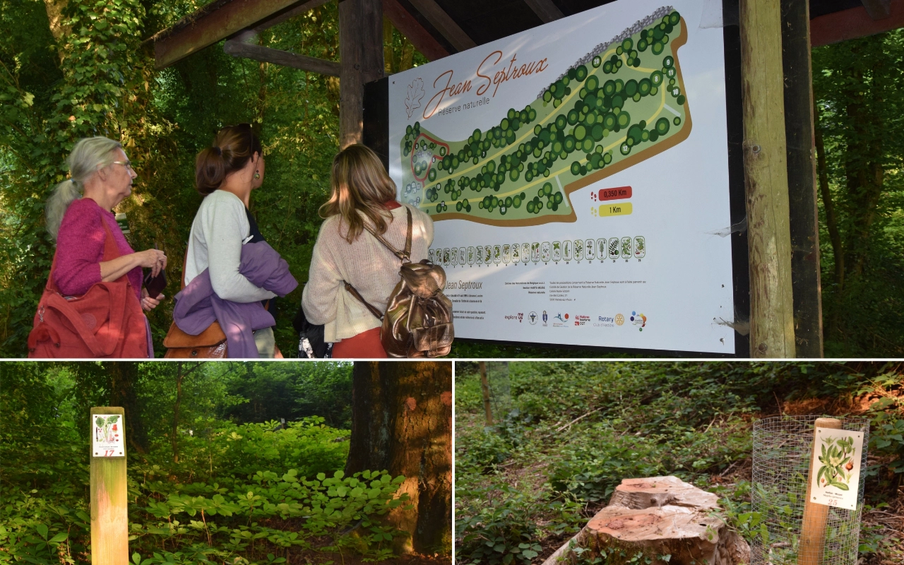Collage montrant trois personnes debout devant une grande carte ou un panneau d'information dans une zone boisée. Le panneau semble être un guide pour un sentier nature ou un jardin botanique. En dessous de l'image principale, il y a deux images plus petites : l'une montrant un panneau sur un poteau avec des illustrations de plantes et l'autre montrant une souche d'arbre avec un panneau d'information à côté.