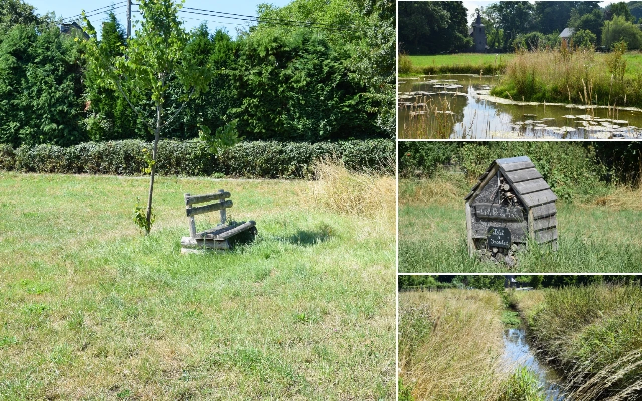 Collage composé de quatre images plus petites. Les principales caractéristiques incluent : Un champ herbeux avec un petit arbre et un banc en bois. Un étang avec des nénuphars et de la végétation environnante. Une petit hôtel à insecte en bois Un ruisseau étroit traversant de hautes herbes.