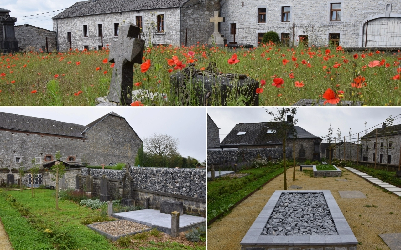 Collage de vues de cimetière : Champ de coquelicots avec pierres tombales : La section supérieure montre un champ de coquelicots rouges avec plusieurs pierres tombales et croix. Rangée de tombes le long d'un mur en pierre : La section en bas à gauche montre une rangée de tombes le long d'un mur en pierre. Sentiers de gravier et marqueurs de tombes : La section en bas à droite montre une autre partie du cimetière avec des sentiers de gravier soigneusement disposés et des marqueurs de tombes.