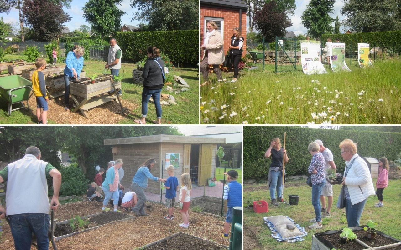 Collage d'activités de jardinage communautaire : Un collage de quatre photos montrant des personnes engagées dans des activités de jardinage dans un jardin communautaire. Les photos représentent diverses scènes, y compris des personnes plantant, s'occupant des plates-bandes et interagissant entre elles. Des adultes et des enfants participent aux activités. Certains individus travaillent avec des outils et des plantes, tandis que d'autres semblent observer ou aider.