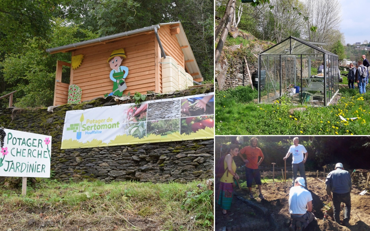 Collage de trois scènes liées au jardinage : à gauche, un petit abri en bois avec un panneau 'Potager cherche jardinier' et une bannière 'Potager de Sertomont' ; en haut à droite, une serre avec des personnes autour ; en bas à droite, un groupe de personnes travaillant dans une parcelle de jardin.