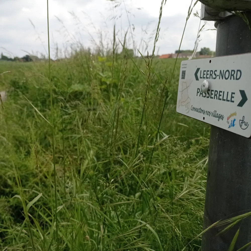 Panneau indiquant Leers-Nord : Un panneau dans une zone herbeuse. Le panneau indique "LEERS-NORD Passerelle" et "Commune de Leers-Nord".