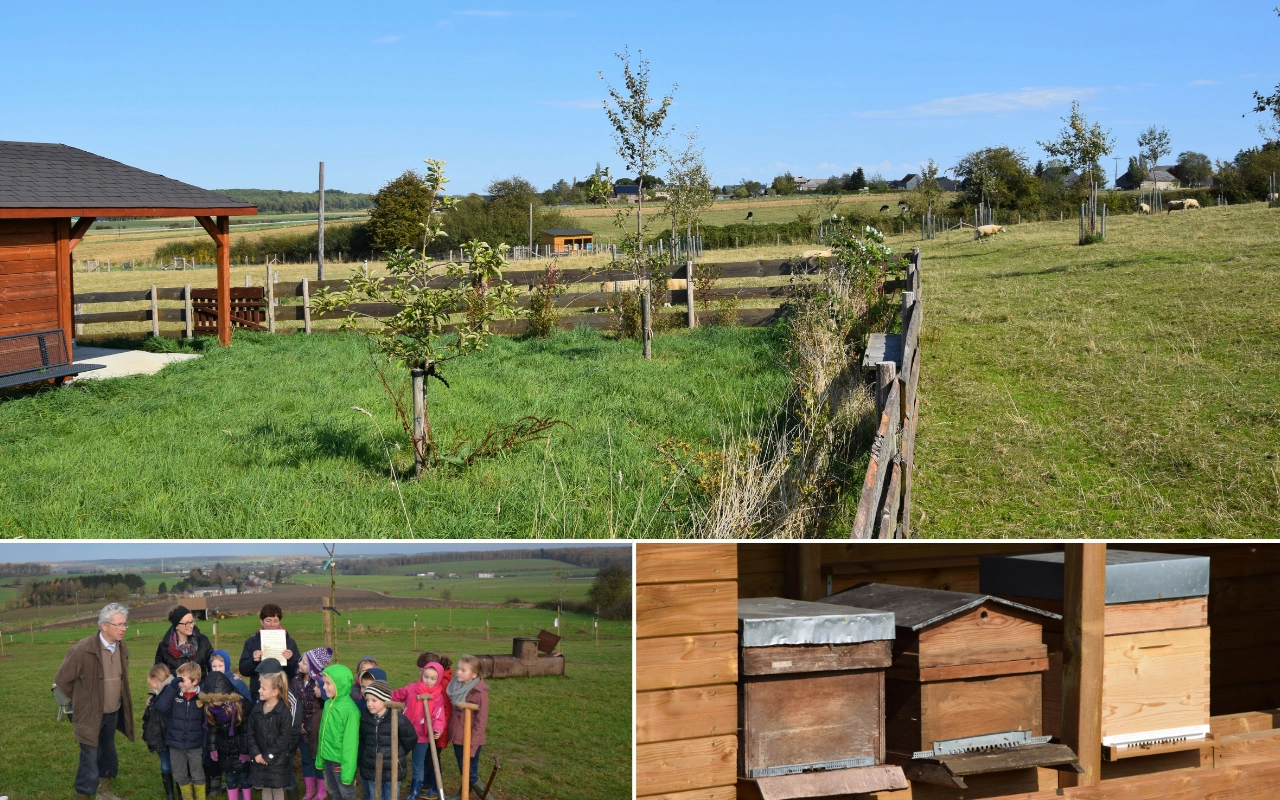 Collage composé de trois photos. La photo du haut montre une zone herbeuse avec une structure en bois à gauche, plusieurs petits arbres et une clôture en arrière-plan. La photo en bas à gauche représente un groupe d'enfants et d'adultes debout dans une zone extérieure avec quelques structures en bois et des champs en arrière-plan. La photo en bas à droite montre plusieurs ruches en bois alignées contre un mur en bois.