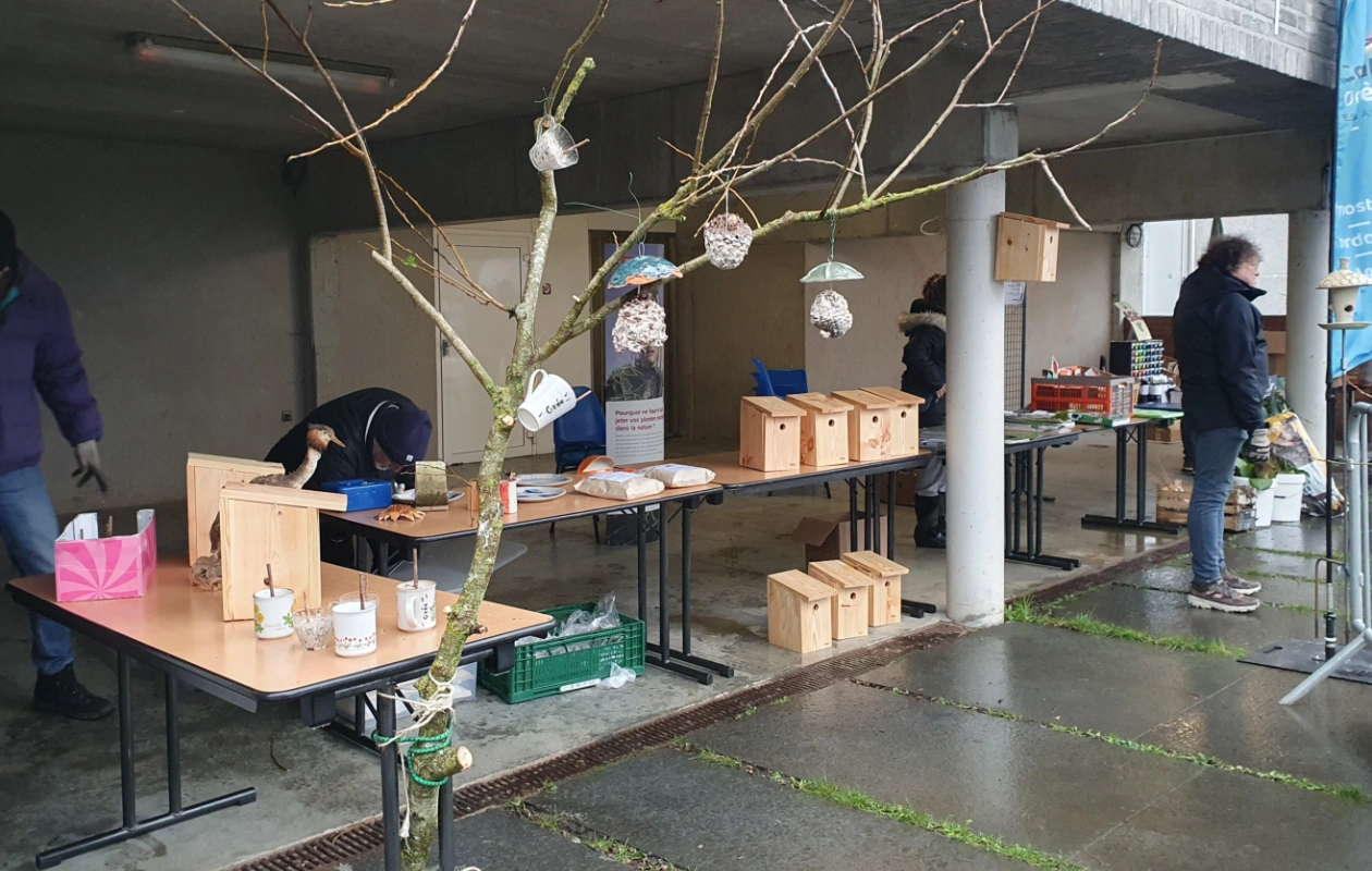 Distribution d’arbres à Frasnes-lez-Anvaing le 23 novembre 2025, avec stands proposant nichoirs et conseils dans le cadre de la Semaine de l’Arbre.