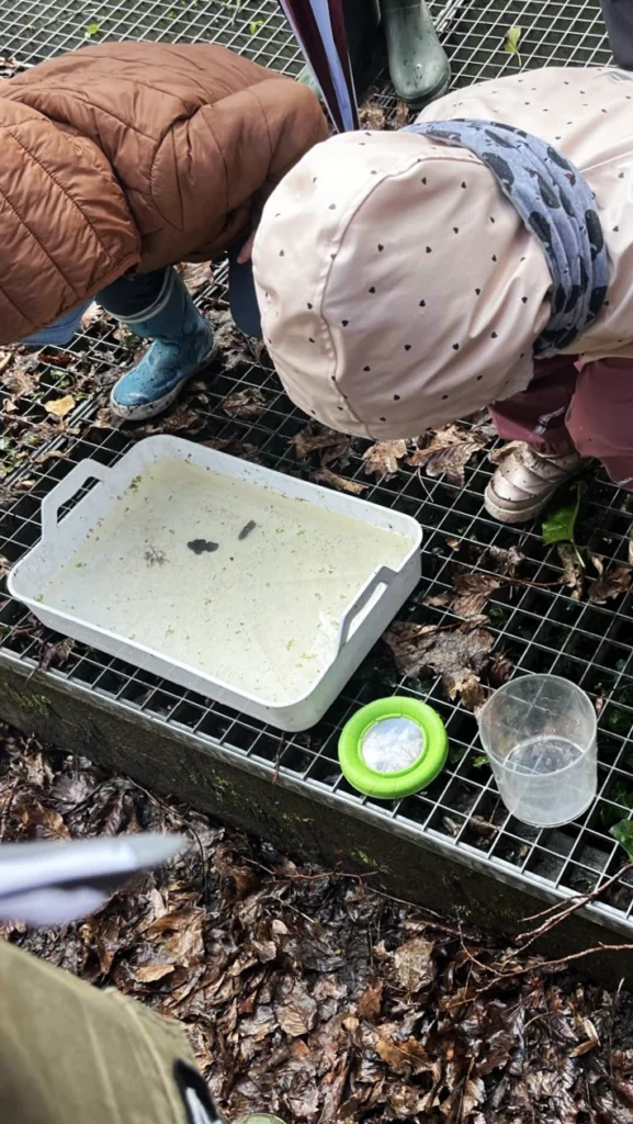 Enfants observant des organismes aquatiques dans un bac lors d’une animation autour d’une mare.
